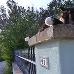 Le Tamerici 3* San Giorgio di Pesaro