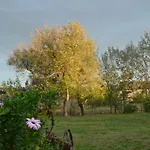 Le Tamerici לינה וארוחת בוקר 3*