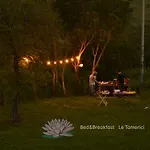 Le Tamerici