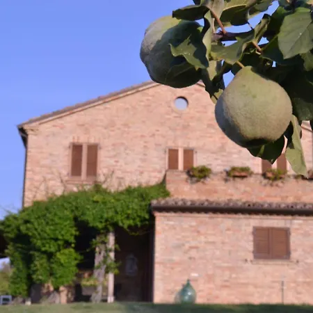 Le Tamerici Bed and breakfast San Giorgio di Pesaro