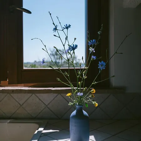 Le Tamerici Bed and breakfast