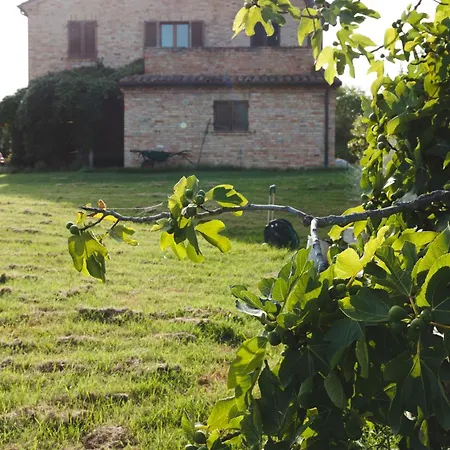 Bed and breakfast Le Tamerici San Giorgio di Pesaro
