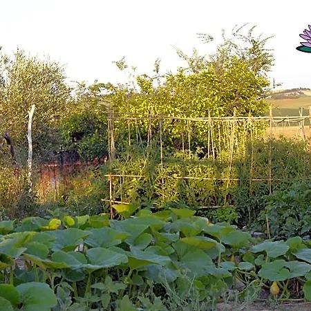 Le Tamerici Bed & Breakfast San Giorgio di Pesaro