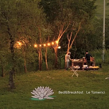 Le Tamerici 3*