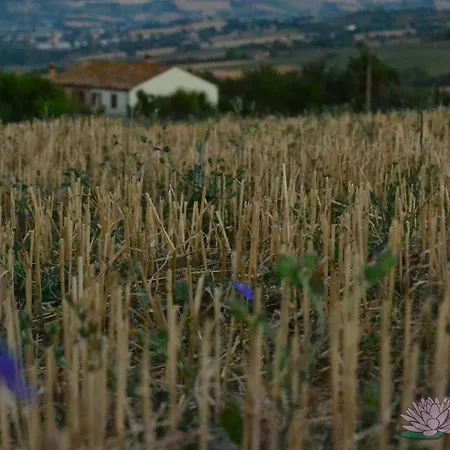 Bed and breakfast Le Tamerici *