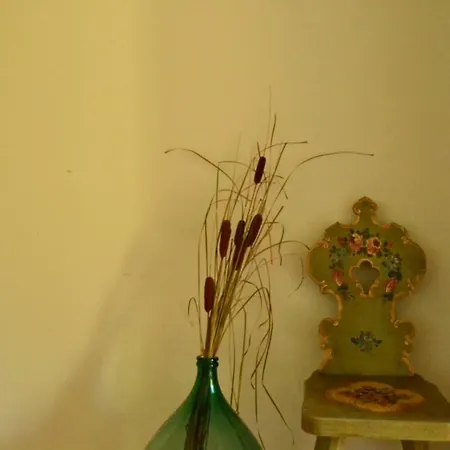 Le Tamerici Bed and breakfast San Giorgio di Pesaro