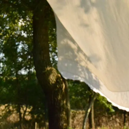 Le Tamerici ベッド・アンド・ブレックファスト