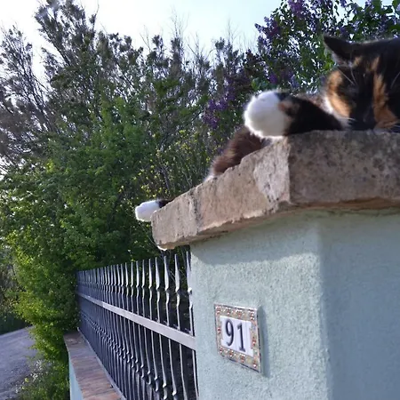 Le Tamerici 3* San Giorgio di Pesaro