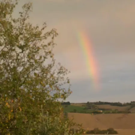 Le Tamerici San Giorgio di Pesaro