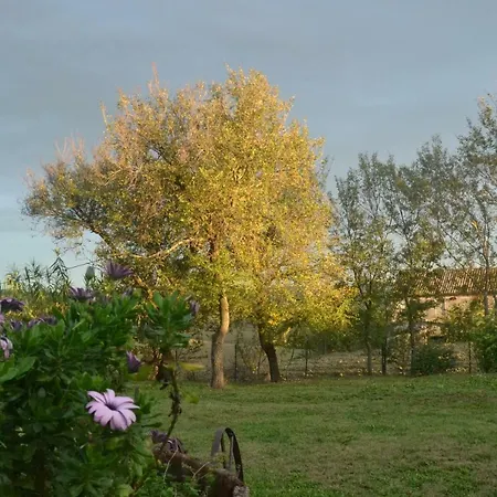 Le Tamerici Bed and breakfast *