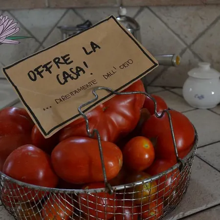 Bed and breakfast Le Tamerici