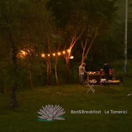 Le Tamerici