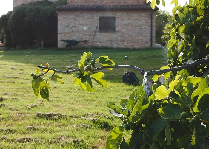 Panzió Le Tamerici San Giorgio di Pesaro