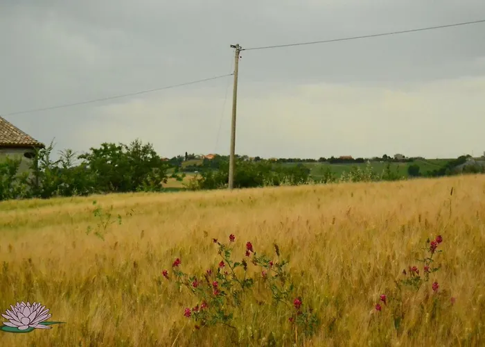 住宿加早餐酒店 勒塔梅里奇住宿加早餐旅馆 San Giorgio di Pesaro