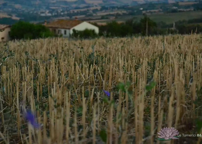 Panzió Le Tamerici 3*