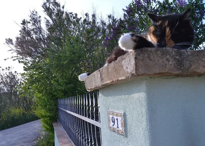 Le Tamerici 3* San Giorgio di Pesaro