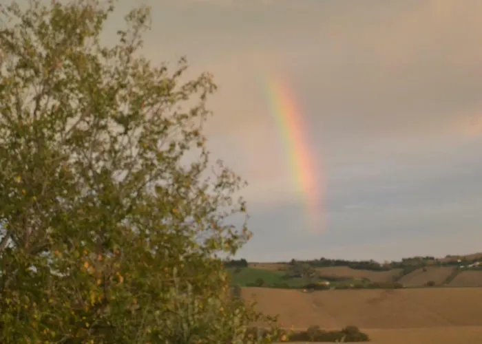 Le Tamerici San Giorgio di Pesaro