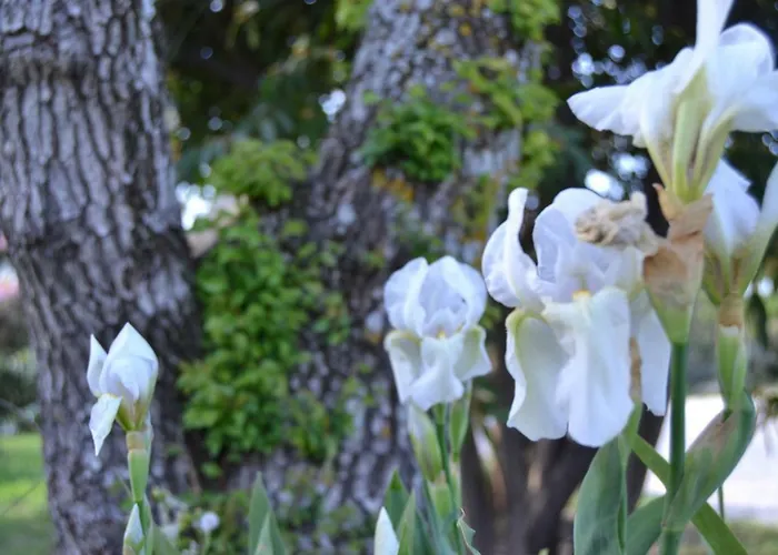 勒塔梅里奇住宿加早餐旅馆 住宿加早餐酒店 3*